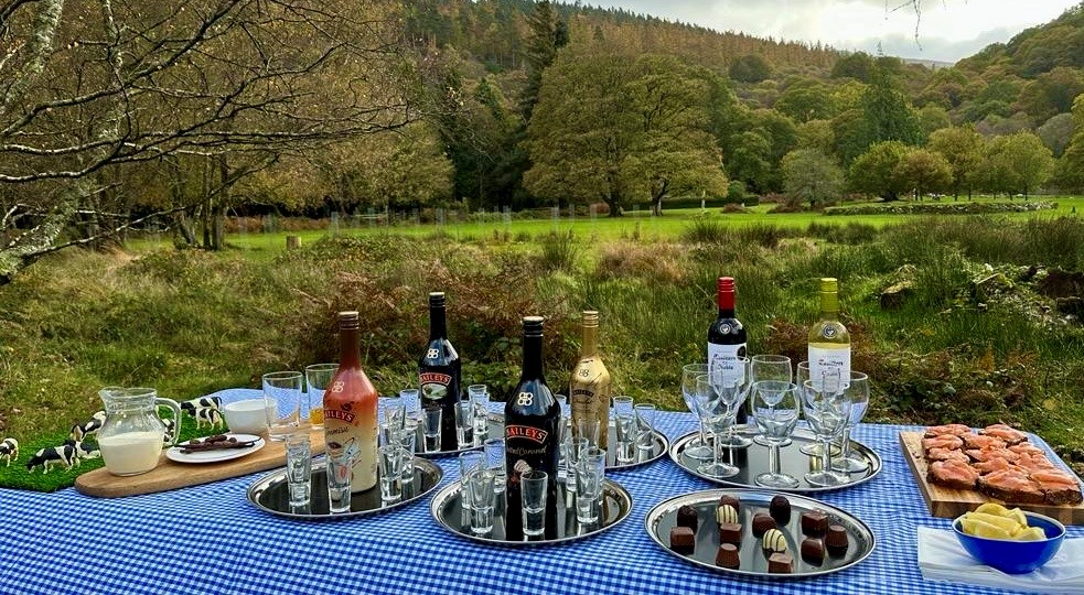 Baileys, Chocolate, Salmon & Wine Tasting at Glendalough