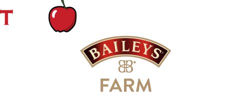 tour of baileys irish cream factory